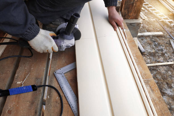 Best Custom Trim and Detailing for Siding  in Jeffersontown, KY